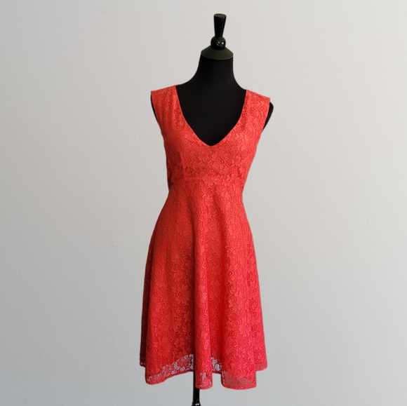 French Connection Lace Dress - Picture 3 of 4